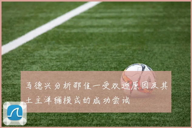 马德兴分析邵佳一受欢迎原因及其土主洋辅模式的成功尝试